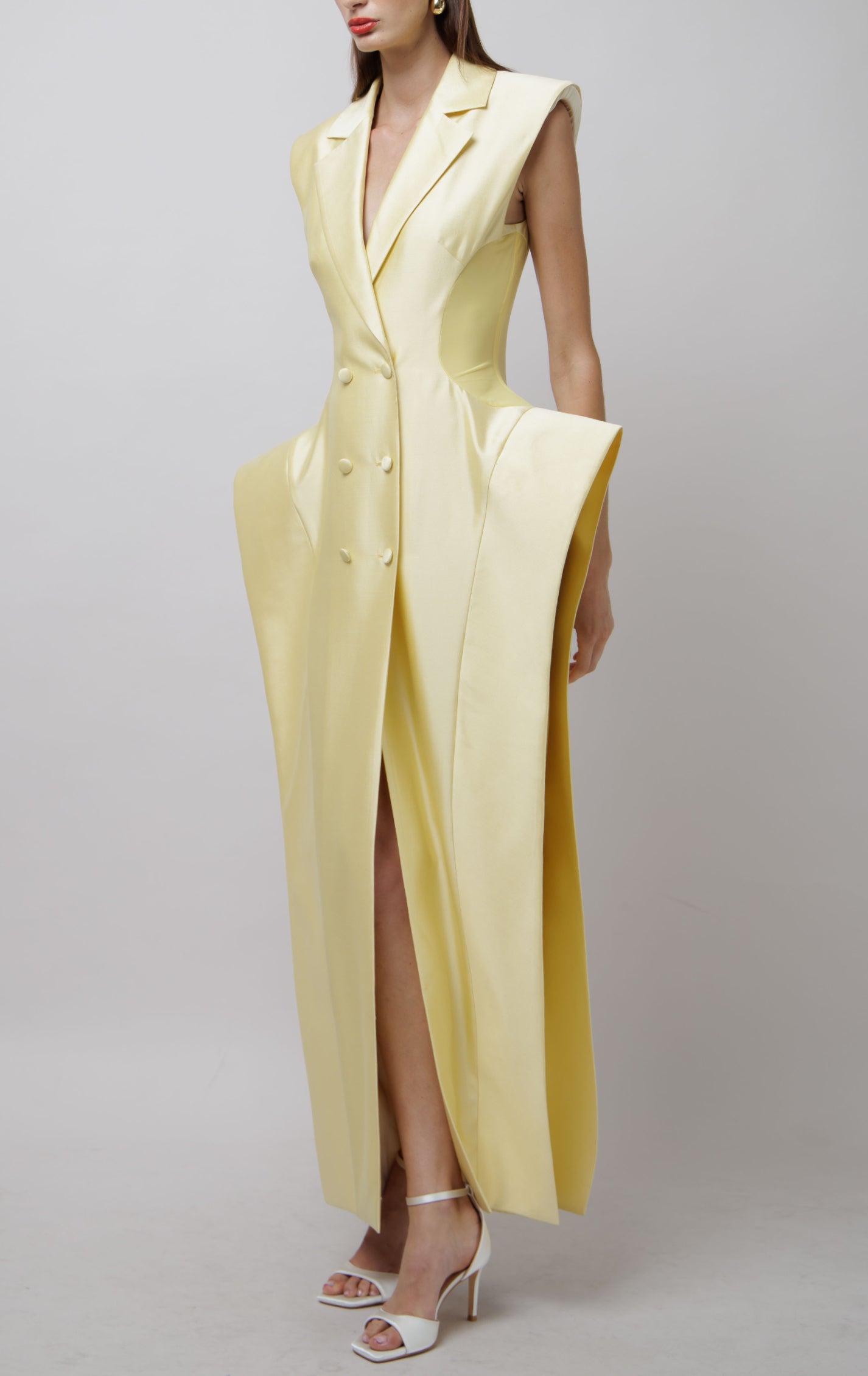 Structured Hip Blazer Dress image 1