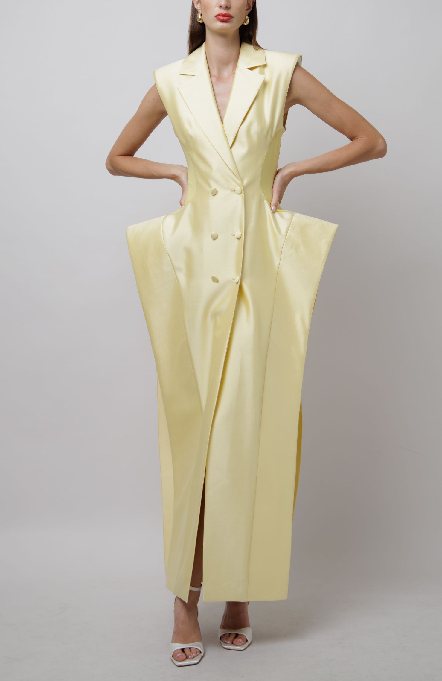 Structured Hip Blazer Dress image 0